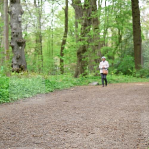 19.04.2026 - Hammer Lauf Dr. Thomas Lammeyer http://msf.ph/oto/9557693 19.04.2026 12:42:15 Laufen  meine-sportfotos.de