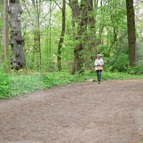 19.04.2026 - Hammer Lauf Dr. Thomas Lammeyer http://msf.ph/oto/9557695 19.04.2026 12:42:15 Laufen  meine-sportfotos.de