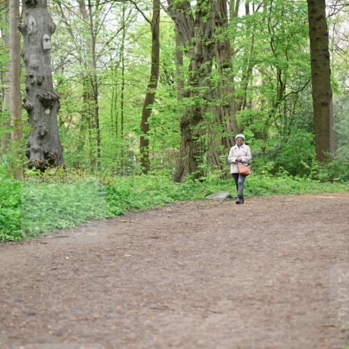 19.04.2026 - Hammer Lauf Dr. Thomas Lammeyer http://msf.ph/oto/9557696 19.04.2026 12:42:15 Laufen  meine-sportfotos.de