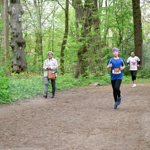 19.04.2026 - Hammer Lauf Dr. Thomas Lammeyer http://msf.ph/oto/9557699 19.04.2026 12:42:22 Laufen 350, 1569 meine-sportfotos.de