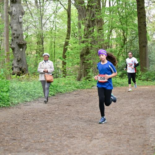 19.04.2026 - Hammer Lauf Dr. Thomas Lammeyer http://msf.ph/oto/9557701 19.04.2026 12:42:22 Laufen 350, 1569 meine-sportfotos.de