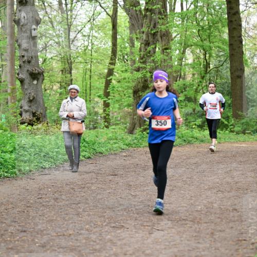 19.04.2026 - Hammer Lauf Dr. Thomas Lammeyer http://msf.ph/oto/9557703 19.04.2026 12:42:23 Laufen 350, 1569 meine-sportfotos.de
