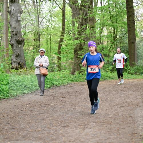 19.04.2026 - Hammer Lauf Dr. Thomas Lammeyer http://msf.ph/oto/9557704 19.04.2026 12:42:22 Laufen 350, 1569 meine-sportfotos.de