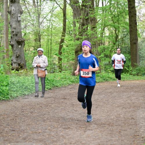19.04.2026 - Hammer Lauf Dr. Thomas Lammeyer http://msf.ph/oto/9557705 19.04.2026 12:42:23 Laufen 350, 1569, 1858 meine-sportfotos.de