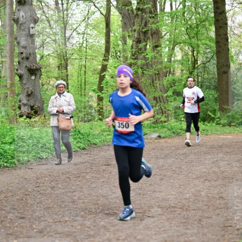 19.04.2026 - Hammer Lauf Dr. Thomas Lammeyer http://msf.ph/oto/9557707 19.04.2026 12:42:23 Laufen 350 meine-sportfotos.de