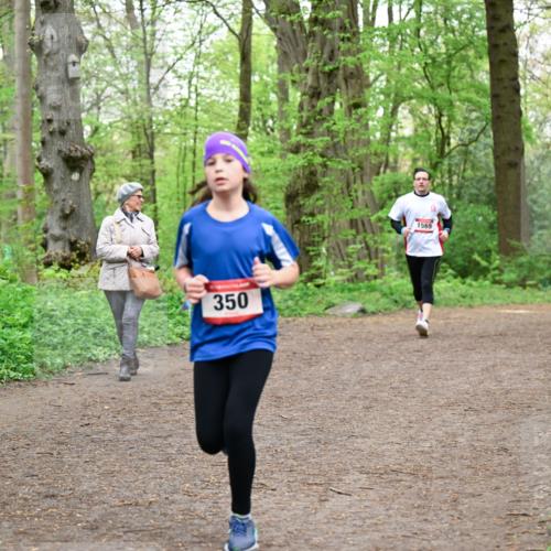 19.04.2026 - Hammer Lauf Dr. Thomas Lammeyer http://msf.ph/oto/9557709 19.04.2026 12:42:23 Laufen 350, 1569, 1858 meine-sportfotos.de