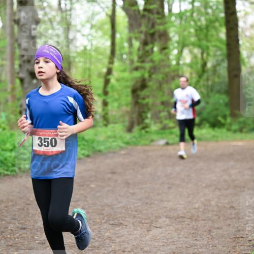 19.04.2026 - Hammer Lauf Dr. Thomas Lammeyer http://msf.ph/oto/9557712 19.04.2026 12:42:24 Laufen 350 meine-sportfotos.de