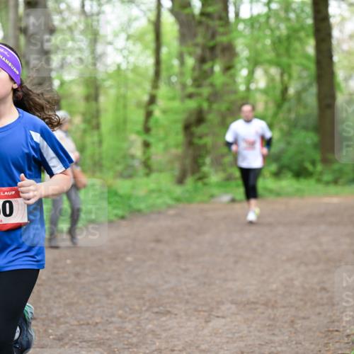 19.04.2026 - Hammer Lauf Dr. Thomas Lammeyer http://msf.ph/oto/9557714 19.04.2026 12:42:24 Laufen 350 meine-sportfotos.de