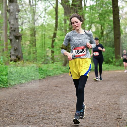 19.04.2026 - Hammer Lauf Dr. Thomas Lammeyer http://msf.ph/oto/9557739 19.04.2026 12:42:28 Laufen 1858 meine-sportfotos.de