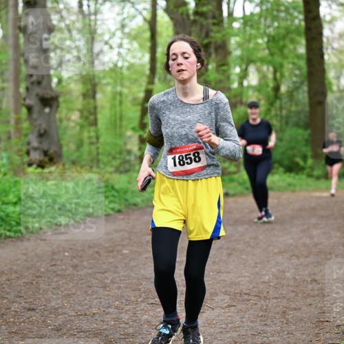 19.04.2026 - Hammer Lauf Dr. Thomas Lammeyer http://msf.ph/oto/9557741 19.04.2026 12:42:28 Laufen 1858, 741 meine-sportfotos.de