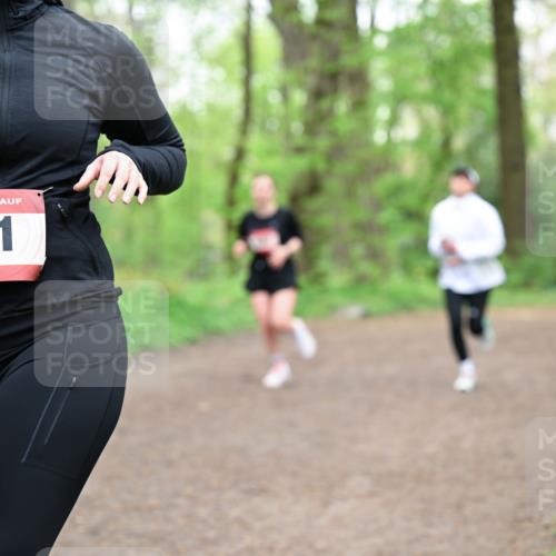 19.04.2026 - Hammer Lauf Dr. Thomas Lammeyer http://msf.ph/oto/9557770 19.04.2026 12:42:32 Laufen 791 meine-sportfotos.de
