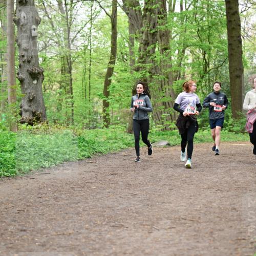 19.04.2026 - Hammer Lauf Dr. Thomas Lammeyer http://msf.ph/oto/9557811 19.04.2026 12:42:39 Laufen 1243, 1102, 881 meine-sportfotos.de