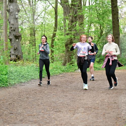 19.04.2026 - Hammer Lauf Dr. Thomas Lammeyer http://msf.ph/oto/9557818 19.04.2026 12:42:40 Laufen 124, 1102, 881 meine-sportfotos.de