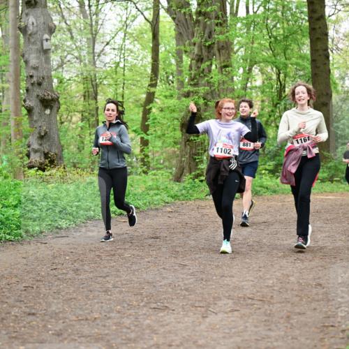 19.04.2026 - Hammer Lauf Dr. Thomas Lammeyer http://msf.ph/oto/9557819 19.04.2026 12:42:40 Laufen 881, 1161, 1102 meine-sportfotos.de