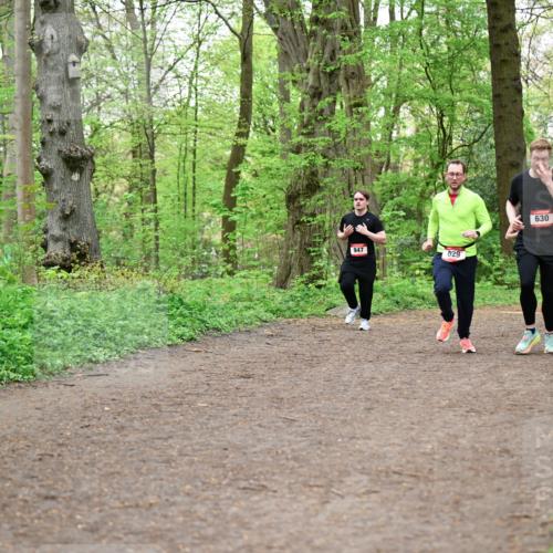 19.04.2026 - Hammer Lauf Dr. Thomas Lammeyer http://msf.ph/oto/9557842 19.04.2026 12:42:44 Laufen 947, 829, 630, 1786, 134 meine-sportfotos.de