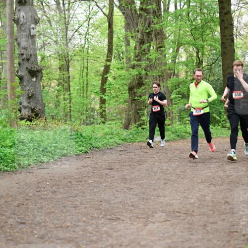 19.04.2026 - Hammer Lauf Dr. Thomas Lammeyer http://msf.ph/oto/9557846 19.04.2026 12:42:44 Laufen 947, 829, 630, 1682, 178 meine-sportfotos.de
