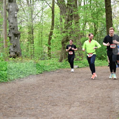19.04.2026 - Hammer Lauf Dr. Thomas Lammeyer http://msf.ph/oto/9557848 19.04.2026 12:42:44 Laufen 947, 829, 630, 1786 meine-sportfotos.de