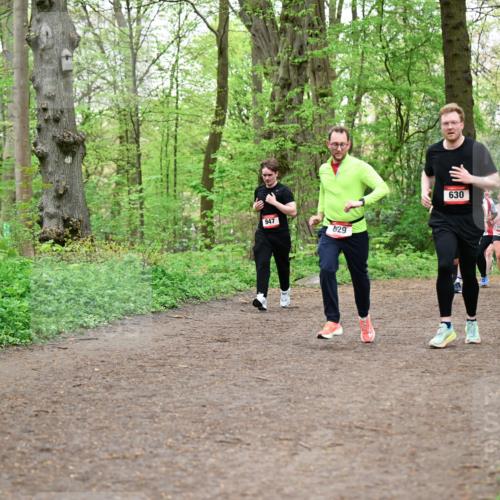 19.04.2026 - Hammer Lauf Dr. Thomas Lammeyer http://msf.ph/oto/9557850 19.04.2026 12:42:45 Laufen 630 meine-sportfotos.de