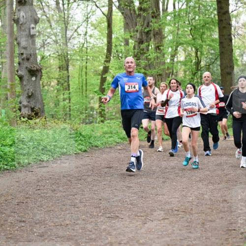 19.04.2026 - Hammer Lauf Dr. Thomas Lammeyer http://msf.ph/oto/9557869 19.04.2026 12:42:48 Laufen 314, 120, 1682, 1780, 522, 347 meine-sportfotos.de