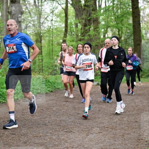 19.04.2026 - Hammer Lauf Dr. Thomas Lammeyer http://msf.ph/oto/9557876 19.04.2026 12:42:49 Laufen 314, 1682, 786, 1585, 1134, 347 meine-sportfotos.de
