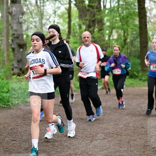 19.04.2026 - Hammer Lauf Dr. Thomas Lammeyer http://msf.ph/oto/9557884 19.04.2026 12:42:50 Laufen 7585, 347 meine-sportfotos.de