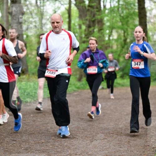 19.04.2026 - Hammer Lauf Dr. Thomas Lammeyer http://msf.ph/oto/9557890 19.04.2026 12:42:51 Laufen 1585, 1134, 347 meine-sportfotos.de