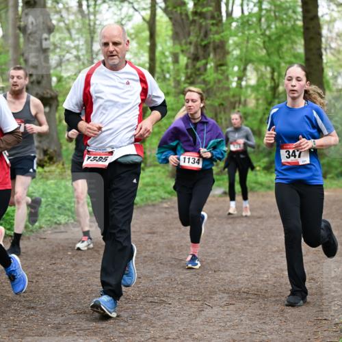 19.04.2026 - Hammer Lauf Dr. Thomas Lammeyer http://msf.ph/oto/9557891 19.04.2026 12:42:51 Laufen 1585, 1134, 347 meine-sportfotos.de