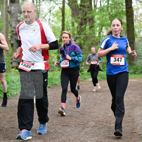 19.04.2026 - Hammer Lauf Dr. Thomas Lammeyer http://msf.ph/oto/9557893 19.04.2026 12:42:51 Laufen 207, 7585, 1134, 923, 347, 231 meine-sportfotos.de