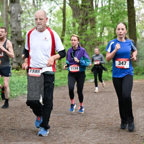 19.04.2026 - Hammer Lauf Dr. Thomas Lammeyer http://msf.ph/oto/9557894 19.04.2026 12:42:51 Laufen 1585, 1134, 347, 231 meine-sportfotos.de