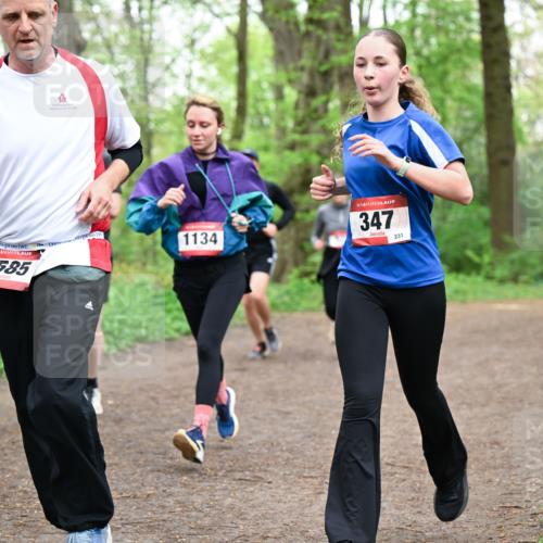 19.04.2026 - Hammer Lauf Dr. Thomas Lammeyer http://msf.ph/oto/9557895 19.04.2026 12:42:51 Laufen 1207, 7585, 1134, 347, 231 meine-sportfotos.de