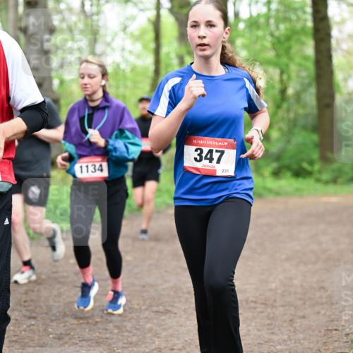 19.04.2026 - Hammer Lauf Dr. Thomas Lammeyer http://msf.ph/oto/9557897 19.04.2026 12:42:52 Laufen 1902, 7585, 1134, 347, 231 meine-sportfotos.de