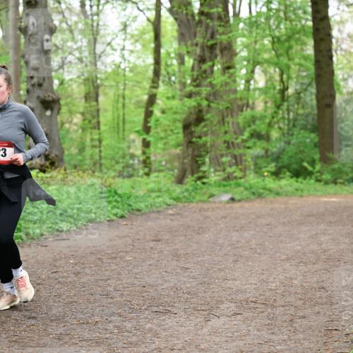 19.04.2026 - Hammer Lauf Dr. Thomas Lammeyer http://msf.ph/oto/9557911 19.04.2026 12:42:54 Laufen 523 meine-sportfotos.de
