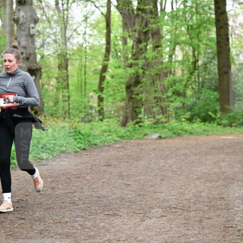 19.04.2026 - Hammer Lauf Dr. Thomas Lammeyer http://msf.ph/oto/9557912 19.04.2026 12:42:54 Laufen  meine-sportfotos.de