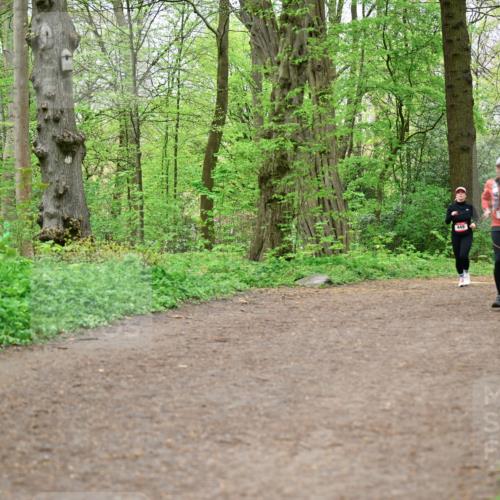 19.04.2026 - Hammer Lauf Dr. Thomas Lammeyer http://msf.ph/oto/9557940 19.04.2026 12:43:00 Laufen 449, 596 meine-sportfotos.de