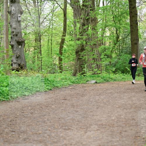 19.04.2026 - Hammer Lauf Dr. Thomas Lammeyer http://msf.ph/oto/9557941 19.04.2026 12:43:01 Laufen 1293, 596, 254, 1042 meine-sportfotos.de