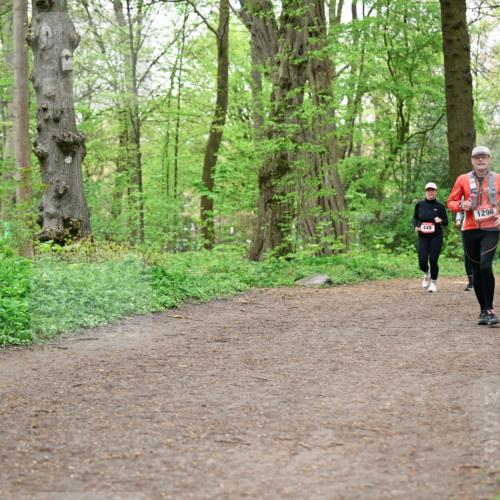 19.04.2026 - Hammer Lauf Dr. Thomas Lammeyer http://msf.ph/oto/9557946 19.04.2026 12:43:01 Laufen 449, 1296, 254, 1042 meine-sportfotos.de