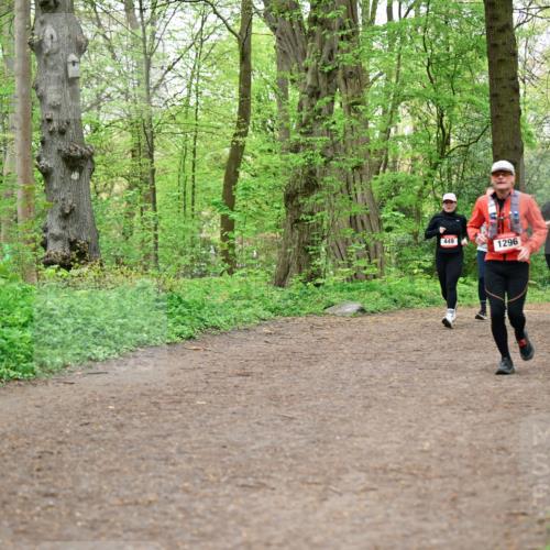 19.04.2026 - Hammer Lauf Dr. Thomas Lammeyer http://msf.ph/oto/9557949 19.04.2026 12:43:02 Laufen 449, 1296, 254, 1042 meine-sportfotos.de