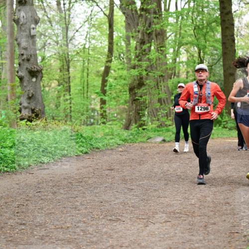 19.04.2026 - Hammer Lauf Dr. Thomas Lammeyer http://msf.ph/oto/9557956 19.04.2026 12:43:03 Laufen 449, 1296, 1042 meine-sportfotos.de