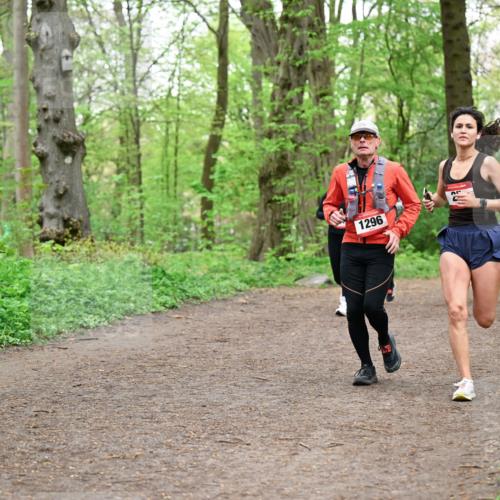 19.04.2026 - Hammer Lauf Dr. Thomas Lammeyer http://msf.ph/oto/9557959 19.04.2026 12:43:03 Laufen 1296, 596, 1042 meine-sportfotos.de