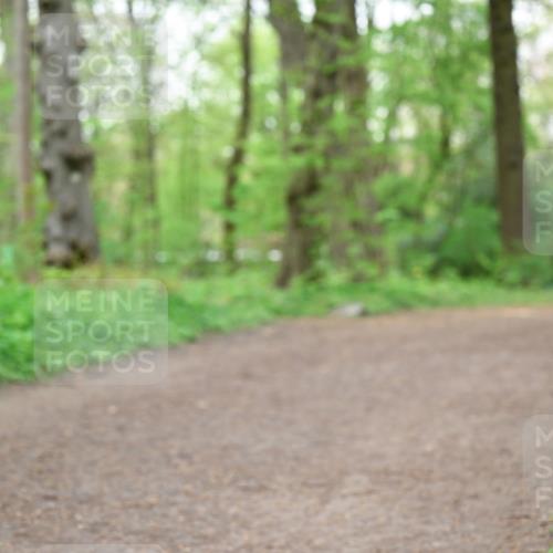 19.04.2026 - Hammer Lauf Dr. Thomas Lammeyer http://msf.ph/oto/9558005 19.04.2026 12:43:11 Laufen  meine-sportfotos.de