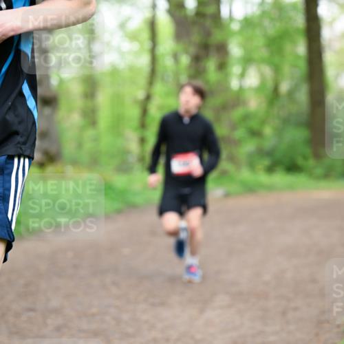 19.04.2026 - Hammer Lauf Dr. Thomas Lammeyer http://msf.ph/oto/9558056 19.04.2026 12:43:25 Laufen  meine-sportfotos.de