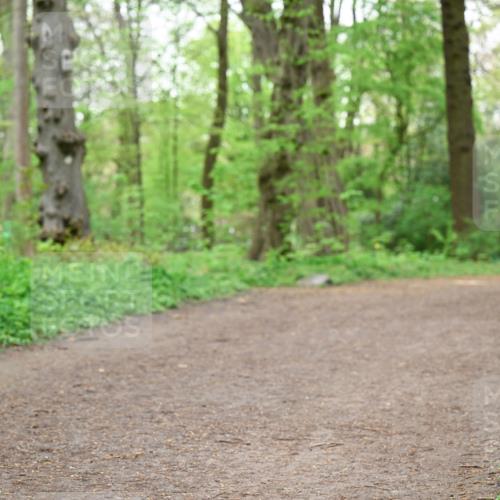 19.04.2026 - Hammer Lauf Dr. Thomas Lammeyer http://msf.ph/oto/9558069 19.04.2026 12:43:26 Laufen  meine-sportfotos.de