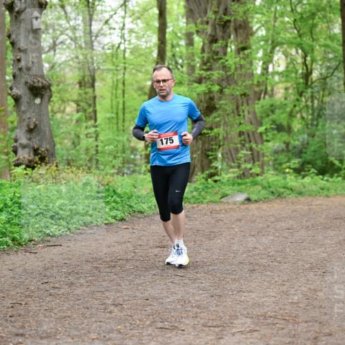 19.04.2026 - Hammer Lauf Dr. Thomas Lammeyer http://msf.ph/oto/9558079 19.04.2026 12:43:32 Laufen 175 meine-sportfotos.de