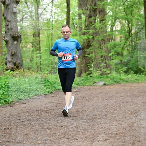 19.04.2026 - Hammer Lauf Dr. Thomas Lammeyer http://msf.ph/oto/9558080 19.04.2026 12:43:32 Laufen 175 meine-sportfotos.de