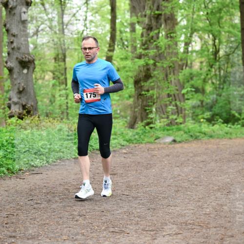 19.04.2026 - Hammer Lauf Dr. Thomas Lammeyer http://msf.ph/oto/9558081 19.04.2026 12:43:33 Laufen 175 meine-sportfotos.de