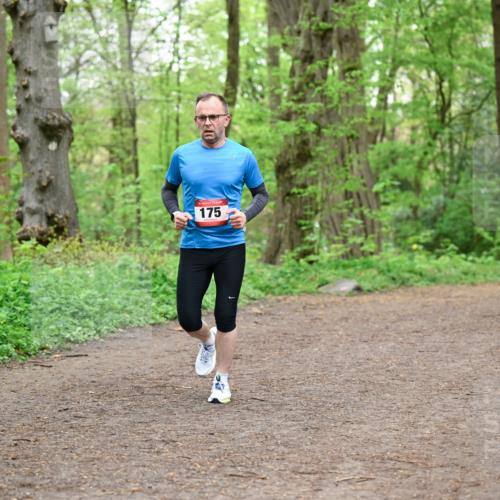 19.04.2026 - Hammer Lauf Dr. Thomas Lammeyer http://msf.ph/oto/9558082 19.04.2026 12:43:33 Laufen 175 meine-sportfotos.de