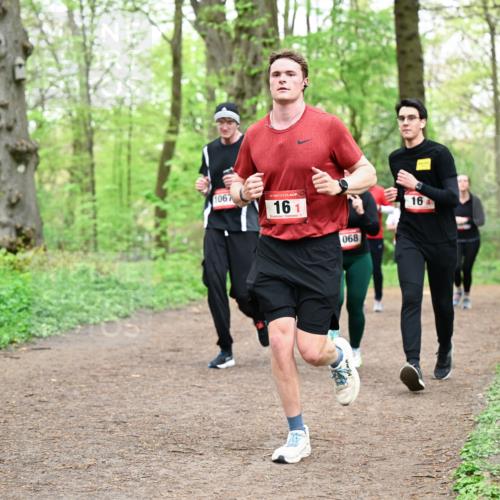 19.04.2026 - Hammer Lauf Dr. Thomas Lammeyer http://msf.ph/oto/9558102 19.04.2026 12:43:40 Laufen 1067, 161, 068, 164 meine-sportfotos.de
