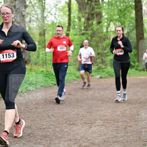 19.04.2026 - Hammer Lauf Dr. Thomas Lammeyer http://msf.ph/oto/9558123 19.04.2026 12:43:43 Laufen 1153, 991, 1899 meine-sportfotos.de
