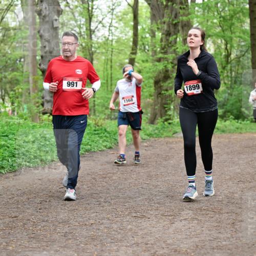 19.04.2026 - Hammer Lauf Dr. Thomas Lammeyer http://msf.ph/oto/9558124 19.04.2026 12:43:44 Laufen 991, 1568, 1899, 284 meine-sportfotos.de