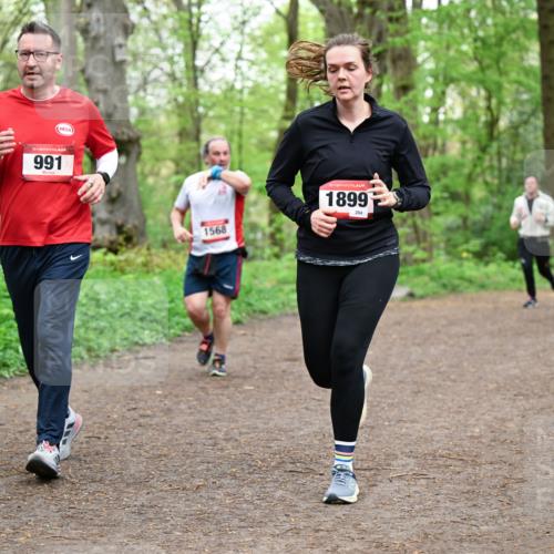 19.04.2026 - Hammer Lauf Dr. Thomas Lammeyer http://msf.ph/oto/9558127 19.04.2026 12:43:44 Laufen 991, 1568, 1899, 284 meine-sportfotos.de